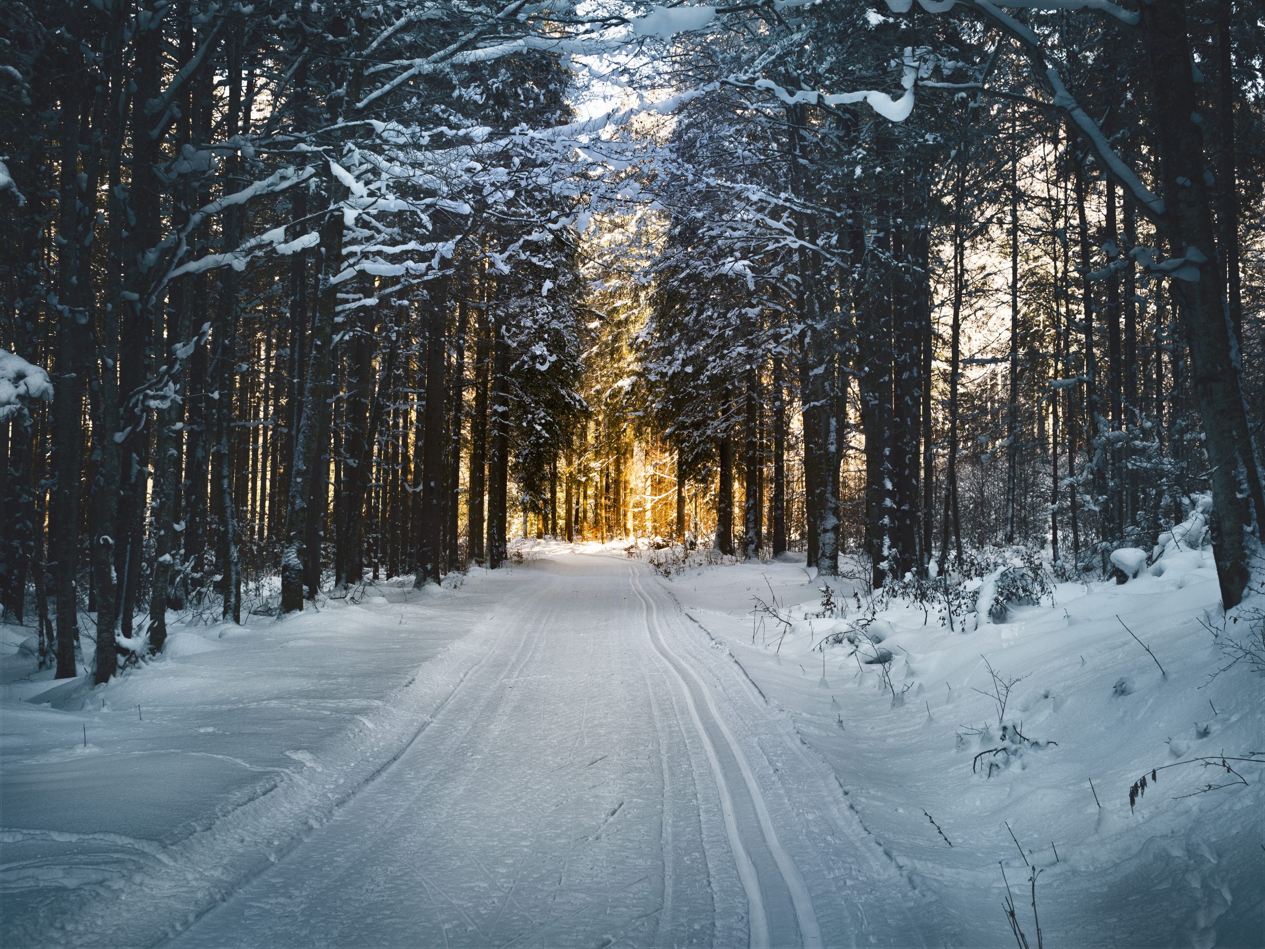 Diagnosis Depression: Major Depressive Disorder (MDD) with Seasonal Pattern