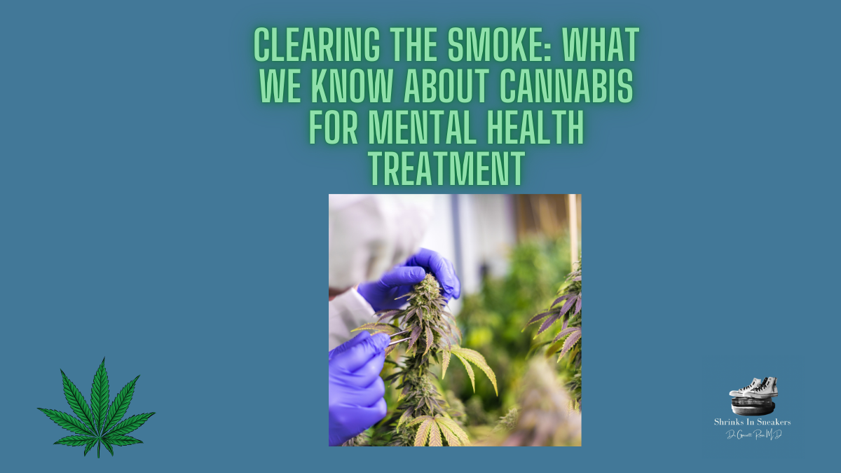 Clearing the Smoke: What We Know About Cannabis for Mental Health Treatment